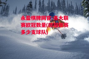 永盈棋牌网官-各大联赛欧冠数量(欧冠联赛多少支球队)